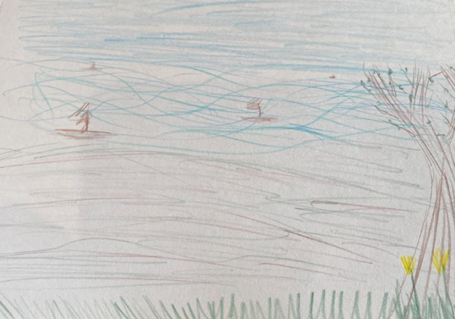 Our Bodies Are Amazing